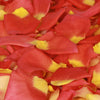 Orange and Yellow Rose Petals