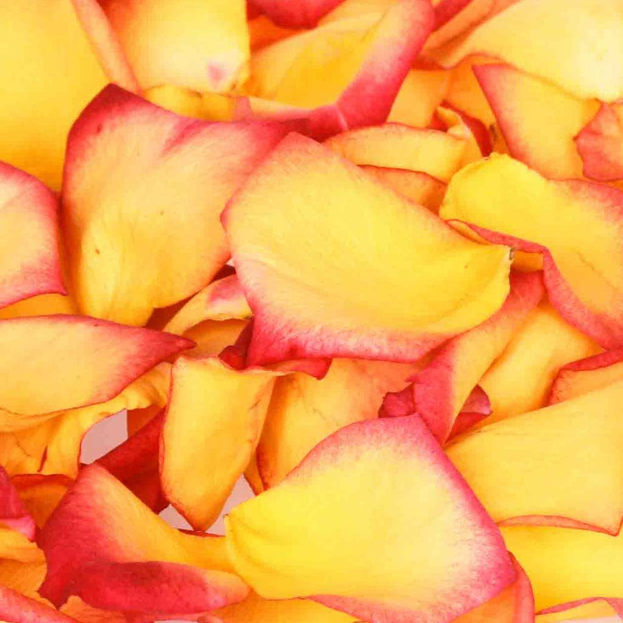 Yellow and Red Freeze Dried Edible Rose Petals