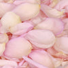 Pale Pink Rose Petals