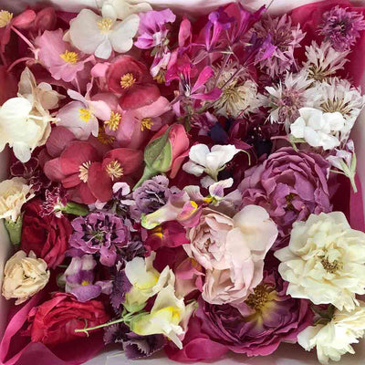 Mixed Pink Freeze Dried Edible Flowers