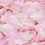 Princess Pink™ Freeze Dried Rose Petals