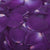 Purple Delight™ Freeze Dried Rose Petals