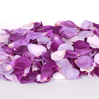 Dark purple, light purple, mauve and lilac rose petals