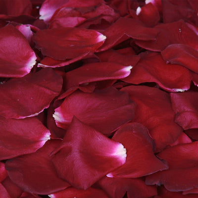 Burgundy rose petals