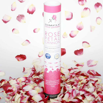Burgundy and Ivory Freeze Dried Rose Petal Cannon