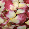 Burgundy and Ivory Rose Petals