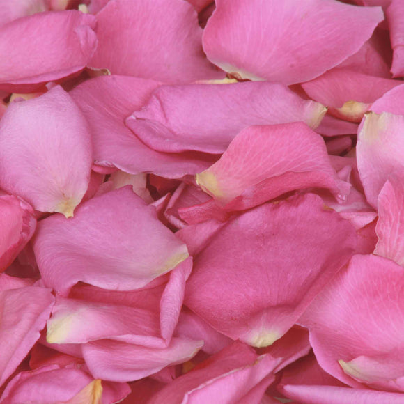 Freeze Dried Rose Petals