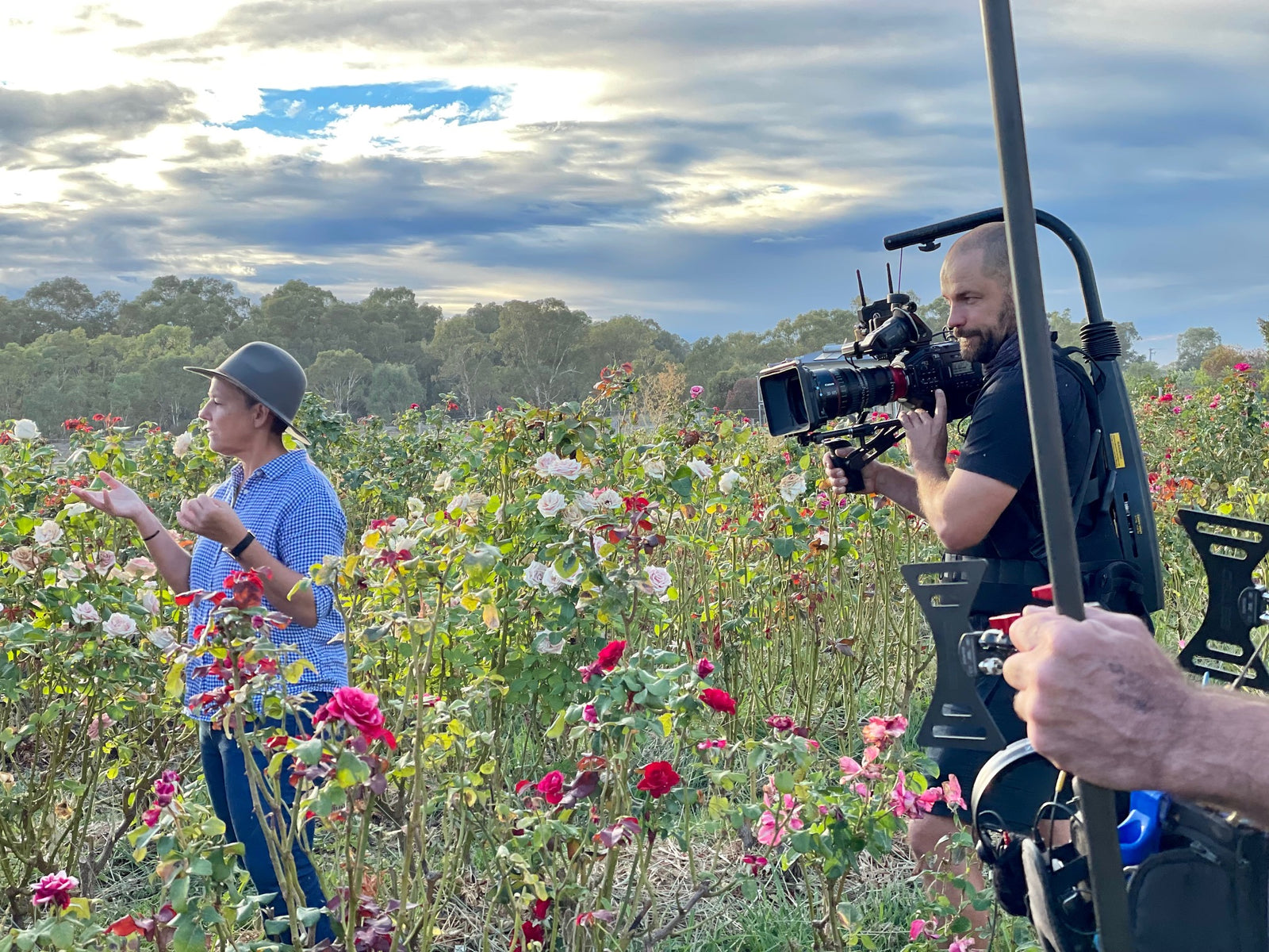 See our Rose Petal Farm on ABC TV!