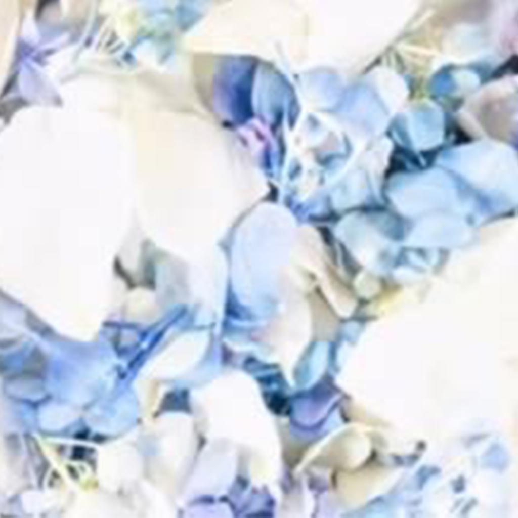 Sky Blue Dried Hydrangea Petals Real Biodegradable Petals 