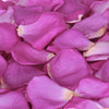 Purple Freeze Dried Rose Petals