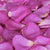 Cerise Seduction™ Freeze Dried Rose Petals