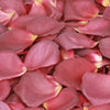 Brown Rose Petals