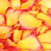 Yellow and Red Freeze Dried Edible Rose Petals
