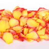 Bright yellow and red edible rose petals