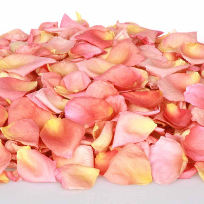 Pile of apricot freeze dried rose petals