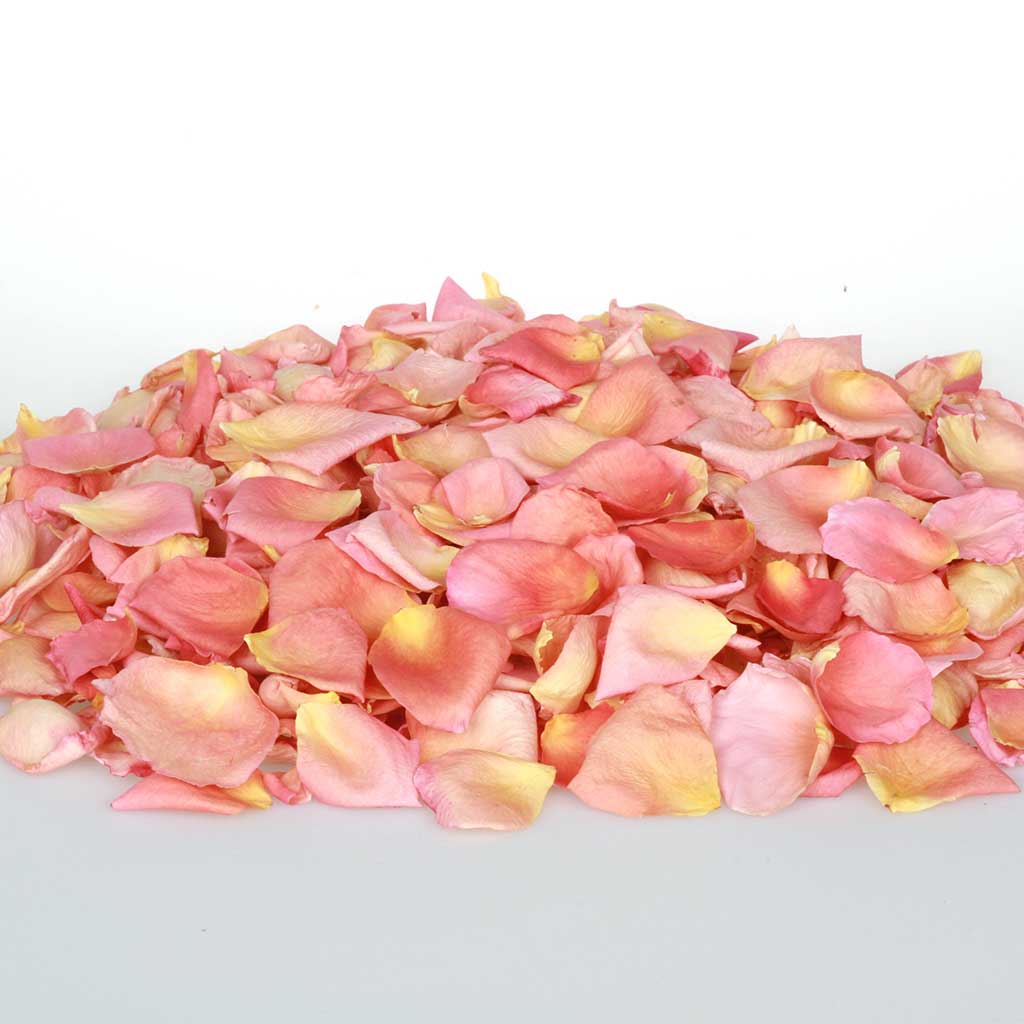 Pile of coral freeze dried rose petals