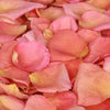 Coral pink and peach freeze dried rose petals