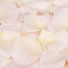 Cream and Pastel Rose Petals