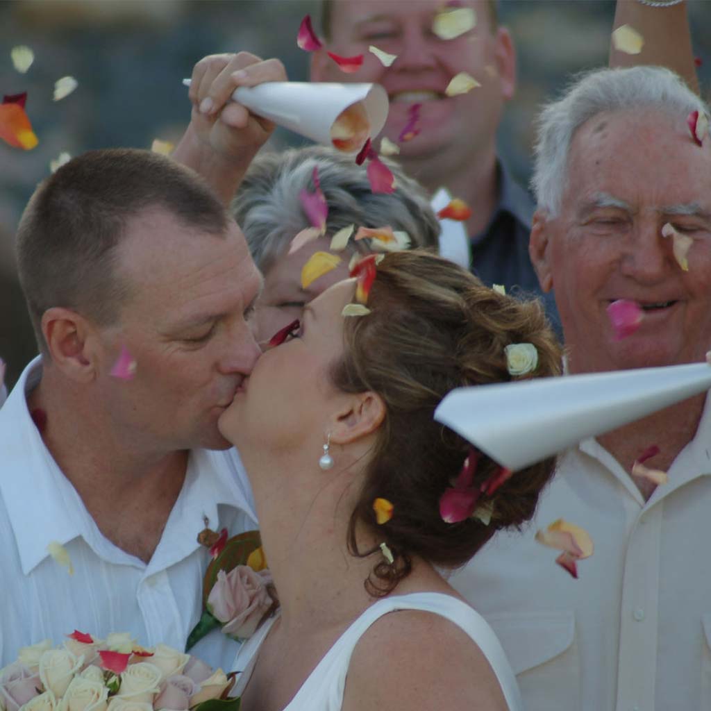 Rose Petal Confetti Cones