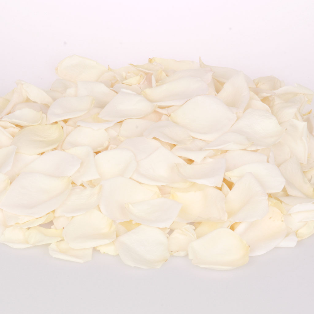 Cream Dried Rose Petals