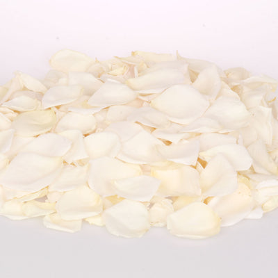 Cream Dried Rose Petals