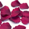 Burgundy Fake Silk Rose Petals