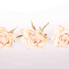 Cream Dried Roses