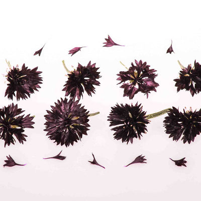 Black Edible Cornflowers
