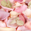 Green Hydrangea Petals and Pastel Freeze Dried Rose Petals