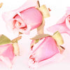 Baby Pink Dried Edible Roses