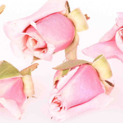 Baby Pink Dried Edible Roses