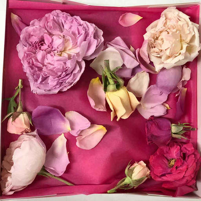 Pink Dried Edible Roses