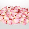 Pile of peach, coral and ivory rose petals
