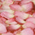 Mango Splash™ Freeze Dried Rose Petals