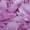 Mauve rose petals