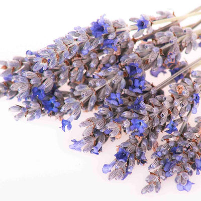 Freeze Dried Edible Lavender Flowers
