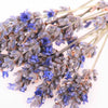 Dried Culinary Lavender
