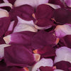 Burgundy Purple and Pink Rose Petals