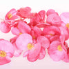 Pink Freeze Dried Edible Begonia Flowers