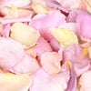 Cream, Peach, Pink and Lilac Pastel Rose Petals