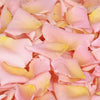 Peach rose petals