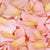 Peach Desire™ Freeze Dried Rose Petals