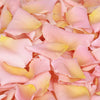 Apricot Rose Petals