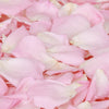Princess Pink™ Freeze Dried Rose Petals