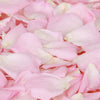 Soft baby pink rose petals
