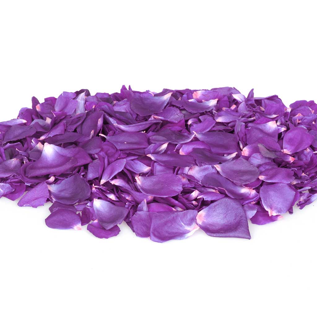 Dark Purple Rose Petals