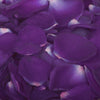 Cadbury Deep Purple Rose Petals