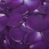 Dark Purple Rose Petals
