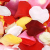 Brightly Coloured Rose Petal Confetti
