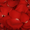 Bright red rose petals